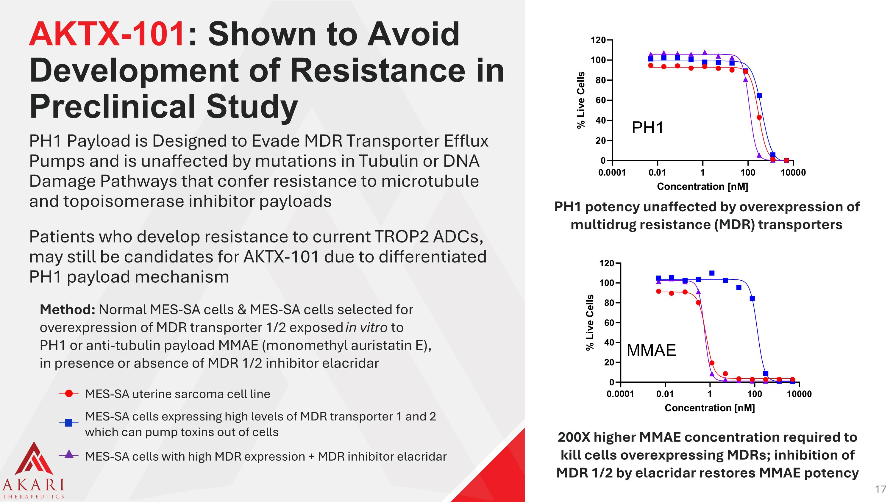 Slide 17