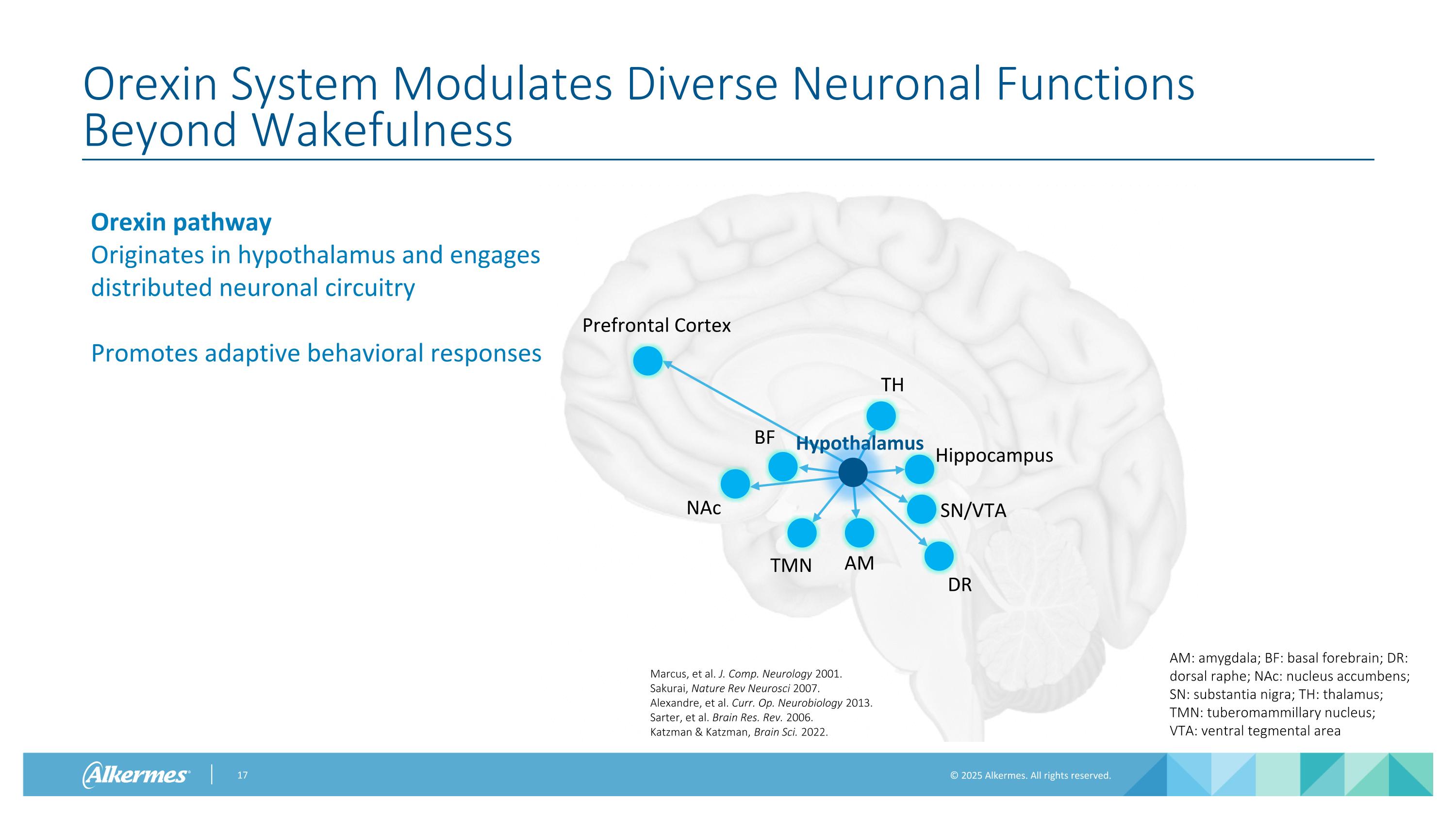 Slide 17