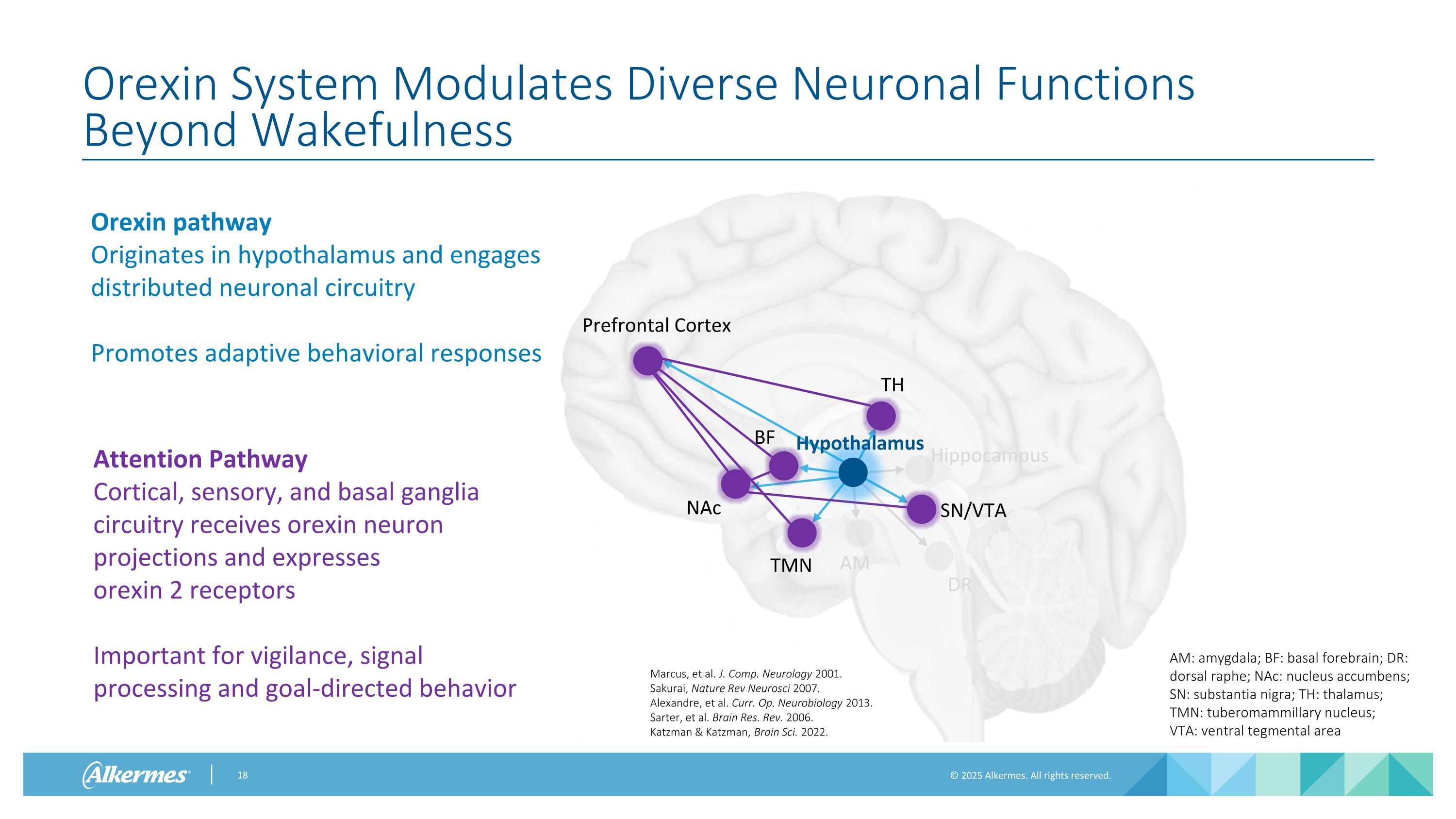 Slide 18