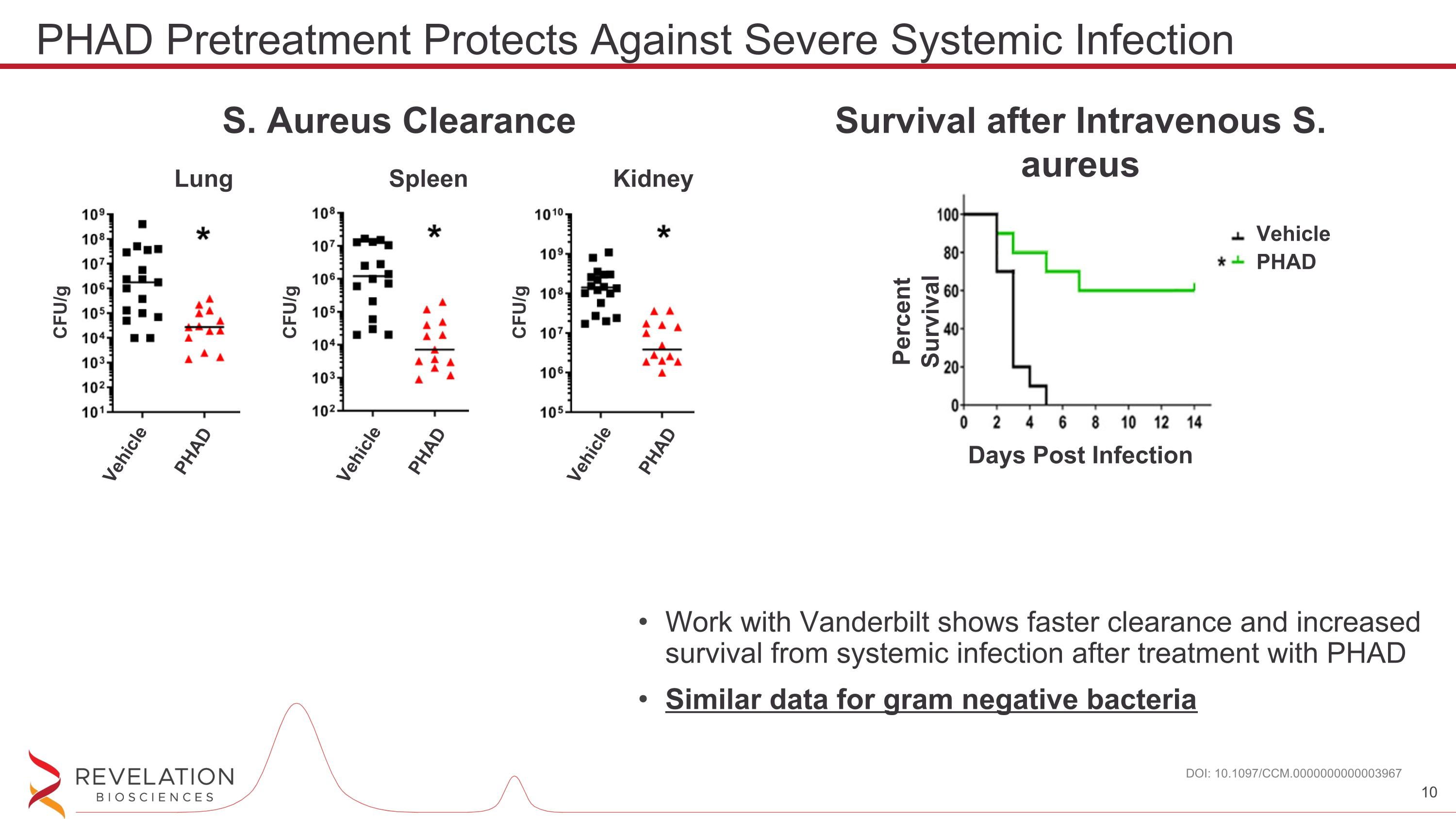 Slide 10