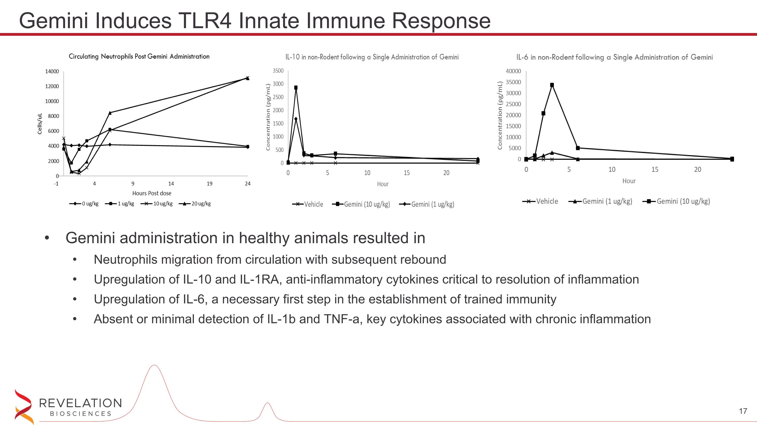 Slide 17