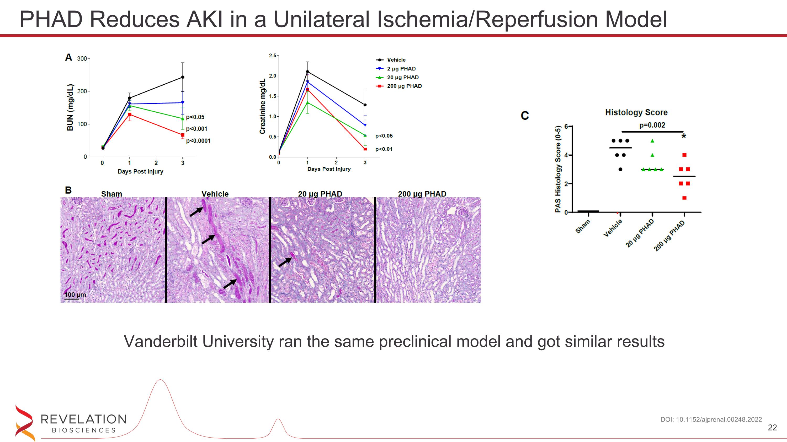 Slide 22