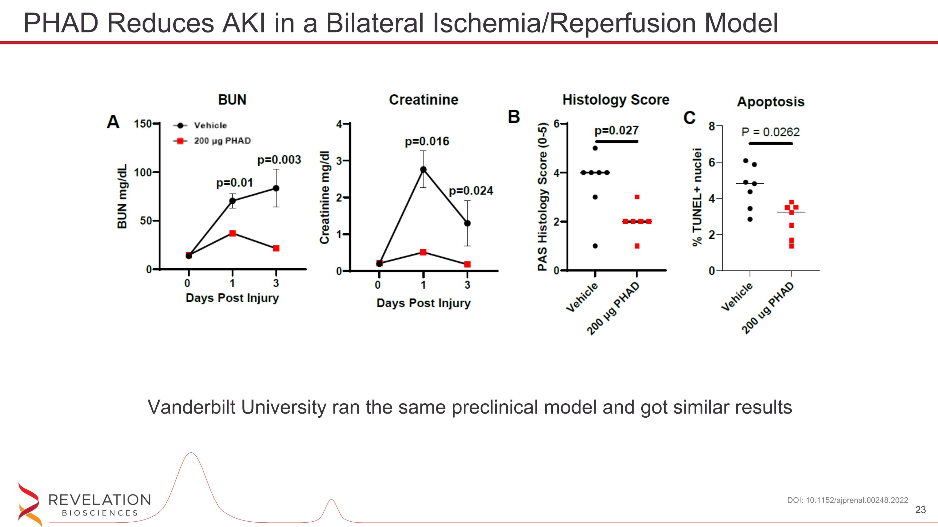 Slide 23