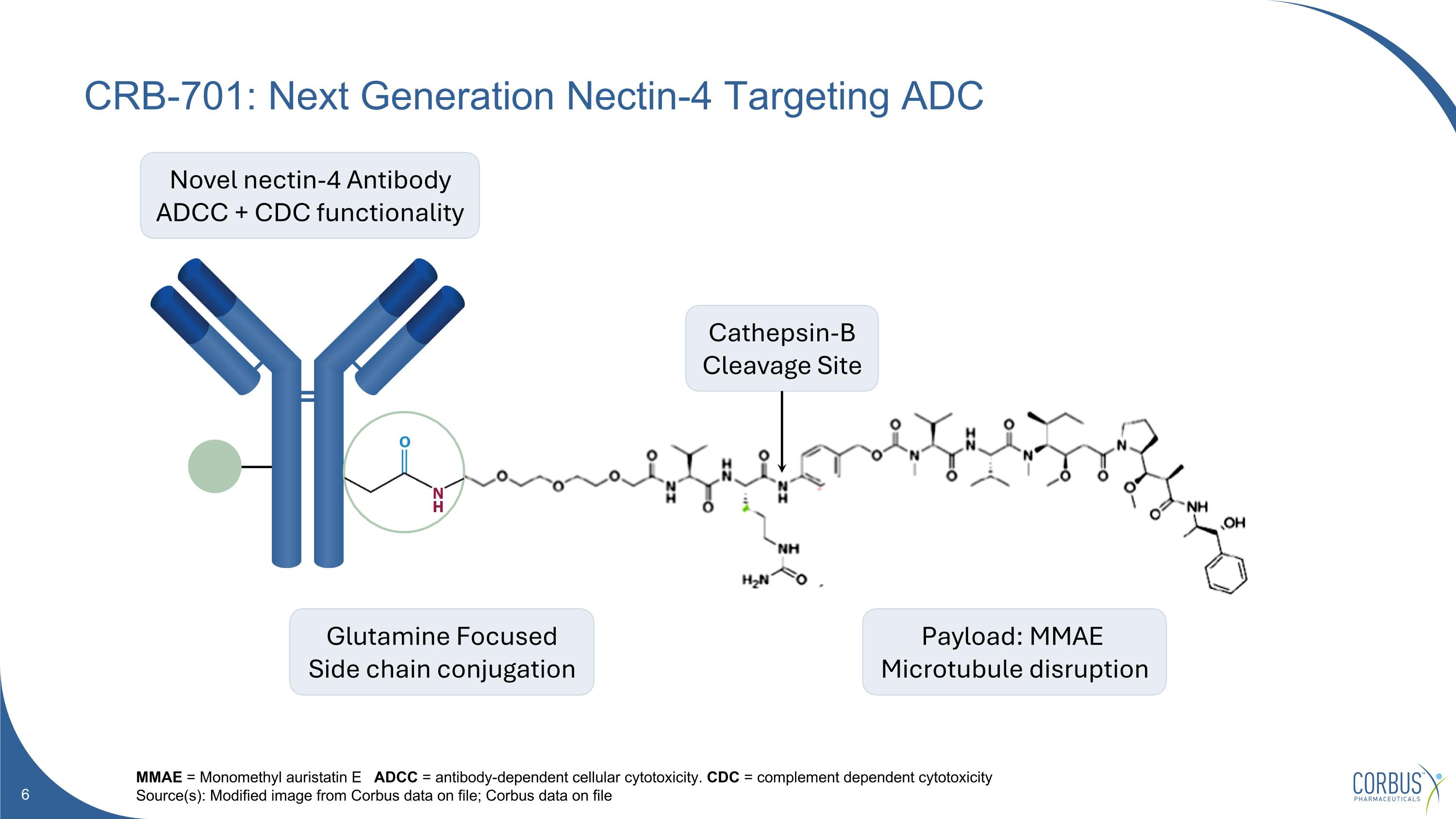 Slide 6