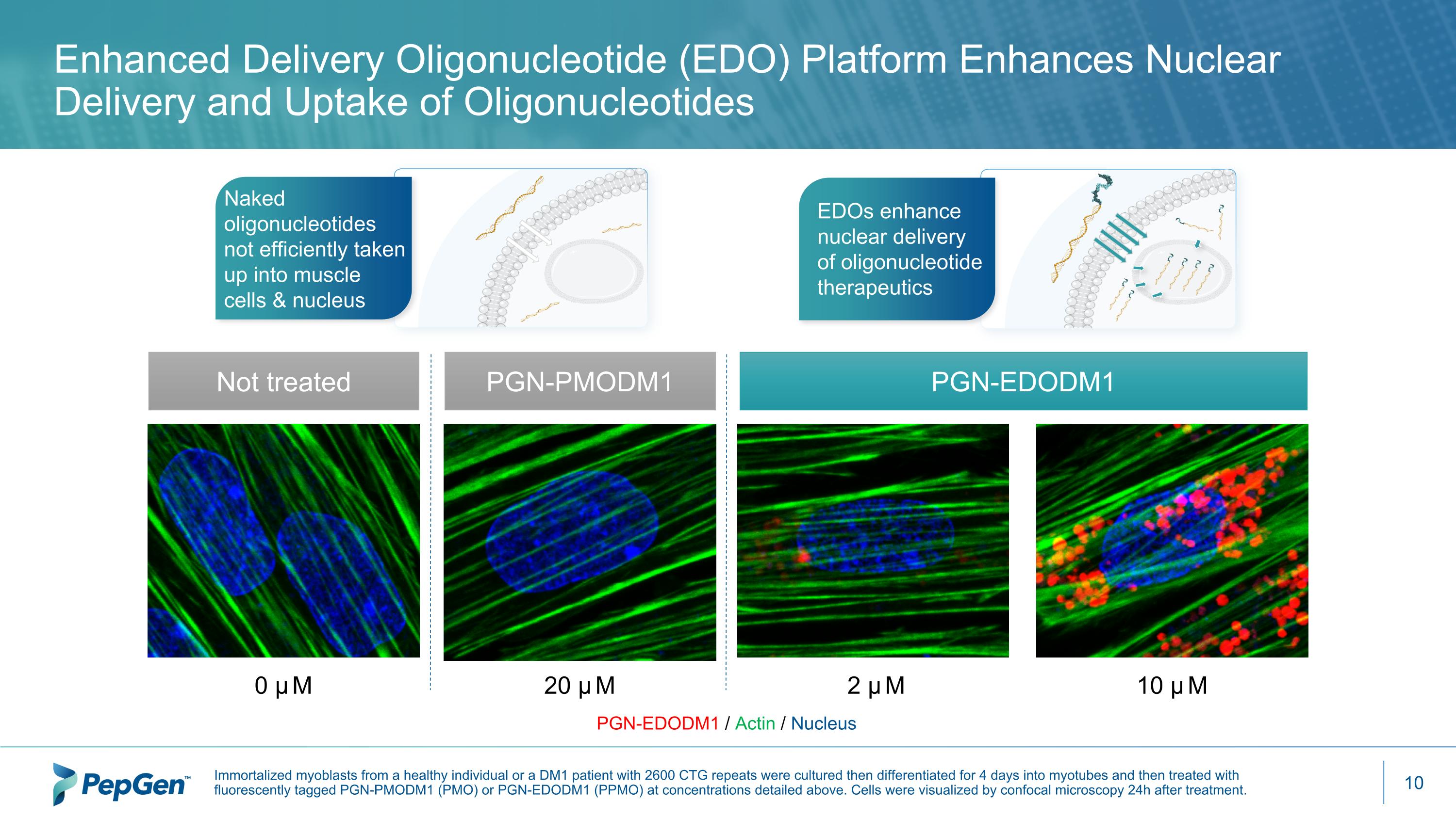 Slide 10