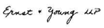 Ernst Young signature