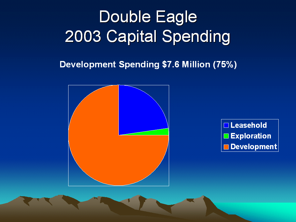 (2003 CAPITAL SPENDING)