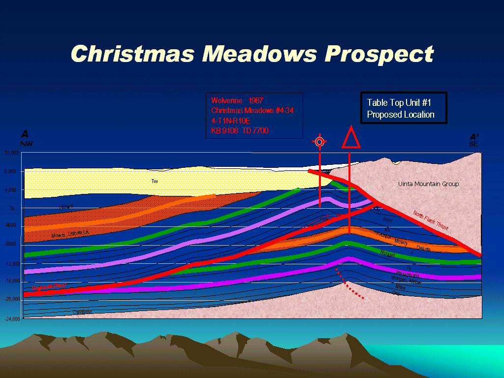 (CHRISTMAS MEADOWS PROSPECT)