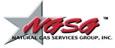 NGSGI LOGO