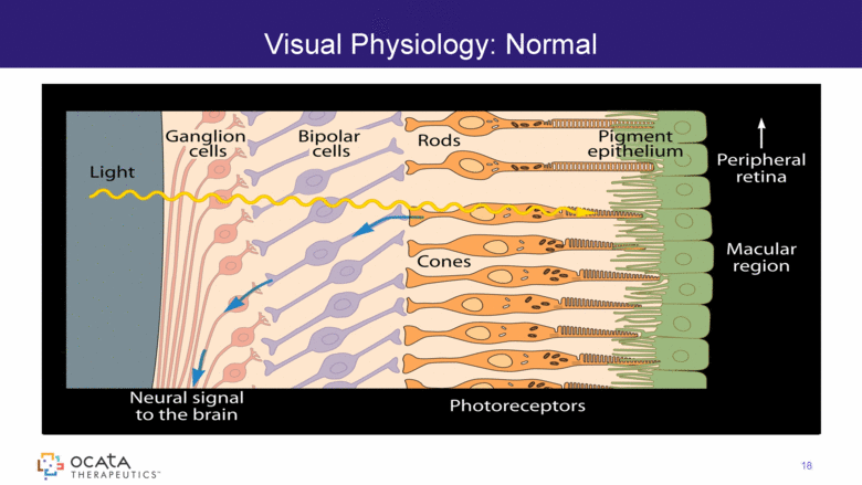 GRAPHIC