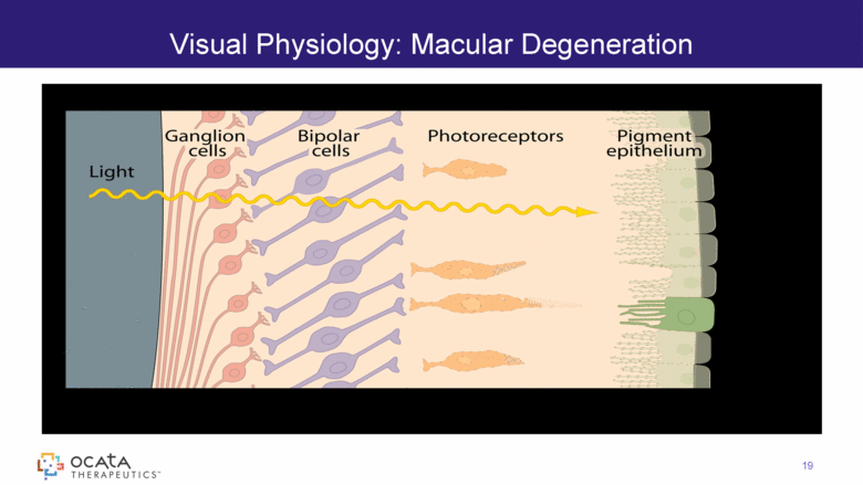 GRAPHIC