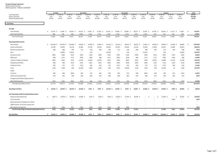 precvt_excel sheet img_13w model for 111320 cleanse_sample_page_1.jpg