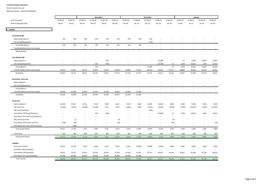 precvt_excel sheet img_13w model for 111320 cleanse_sample_page_2.jpg