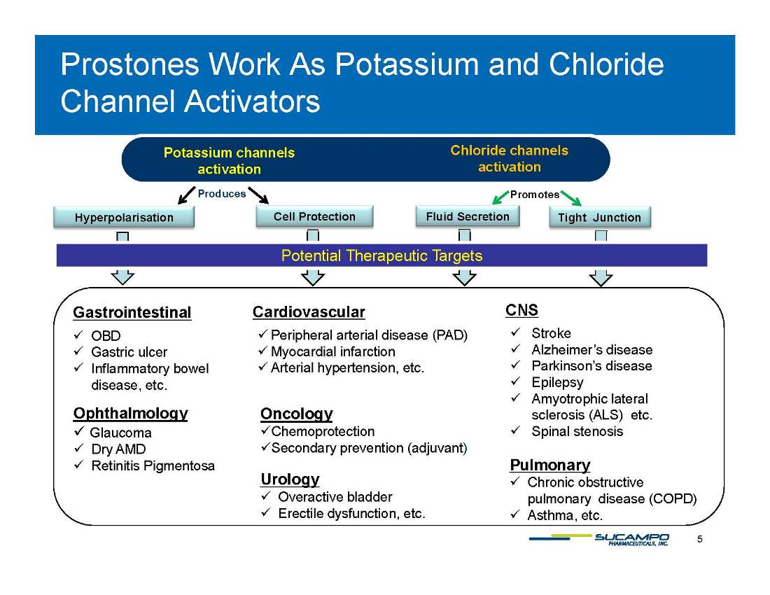 Slide 5