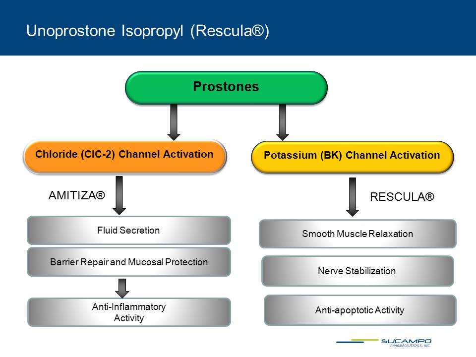 Slide 21