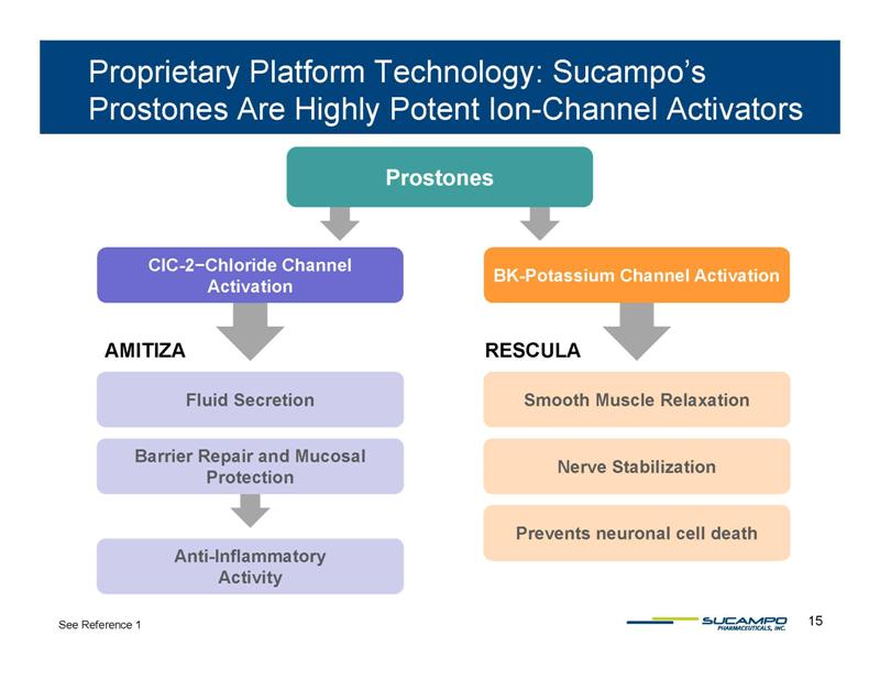 Slide 15