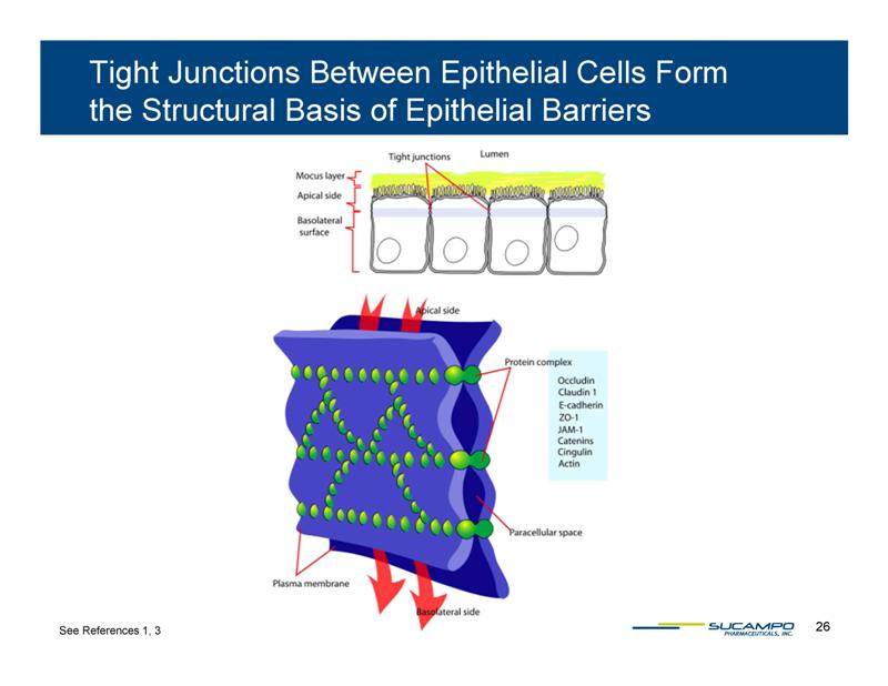 Slide 26