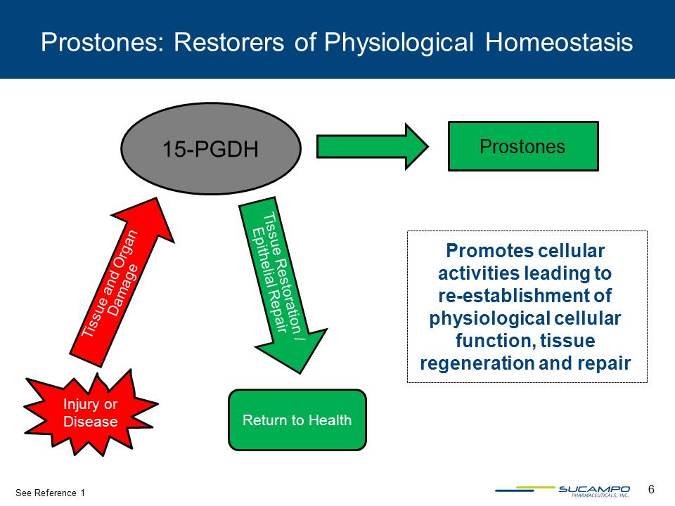 Slide 6