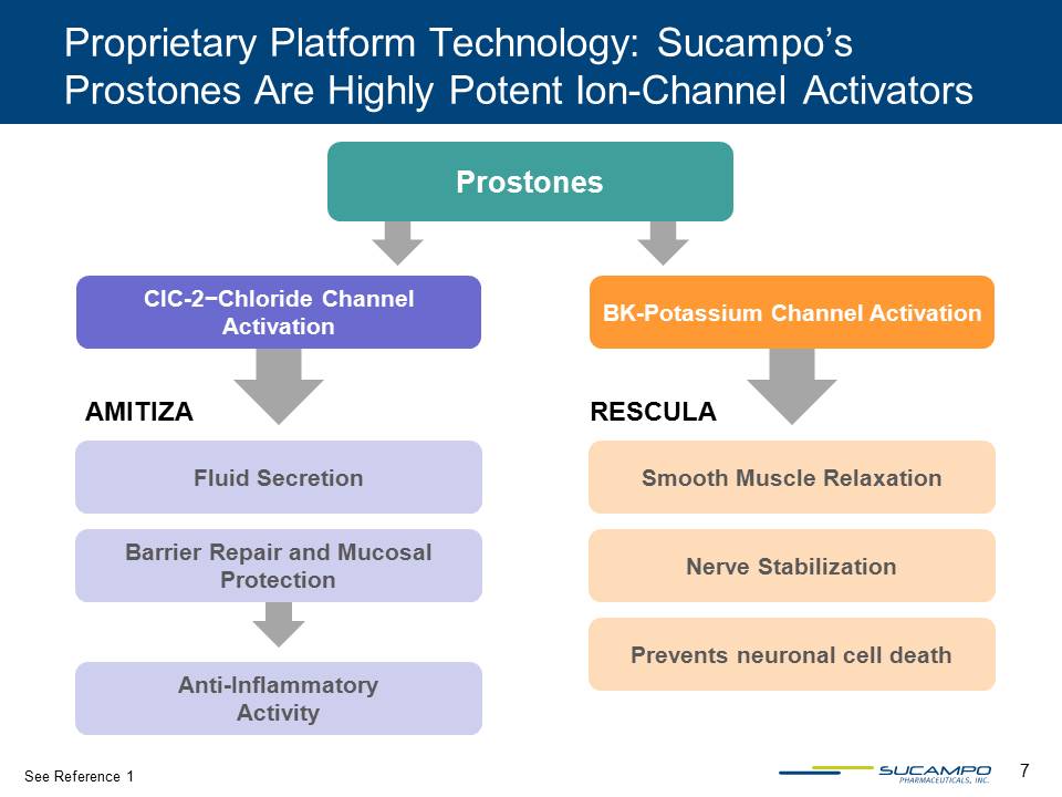 Slide 7