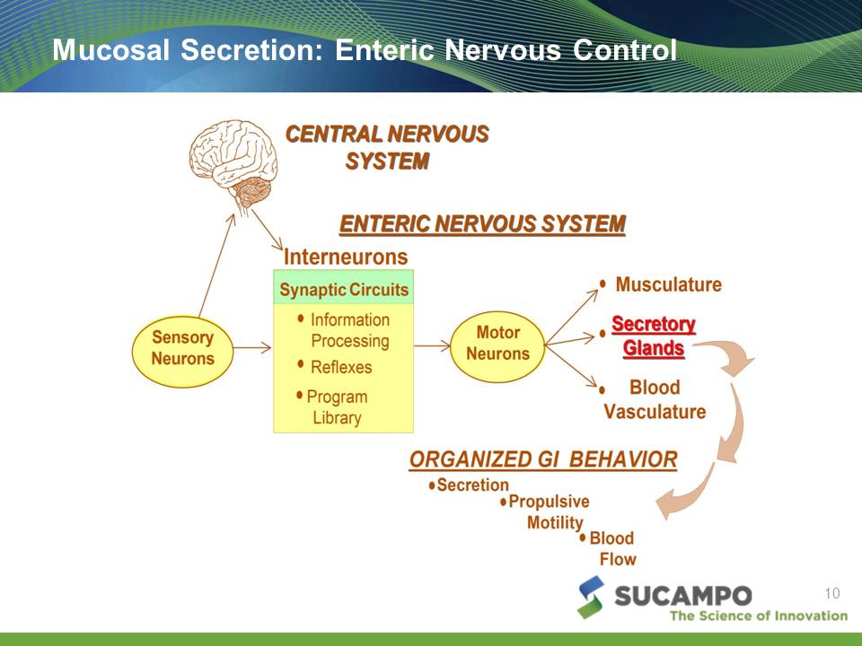 Slide 10