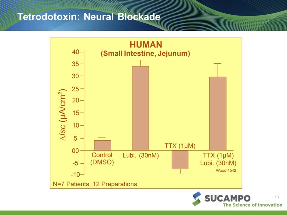 Slide 17