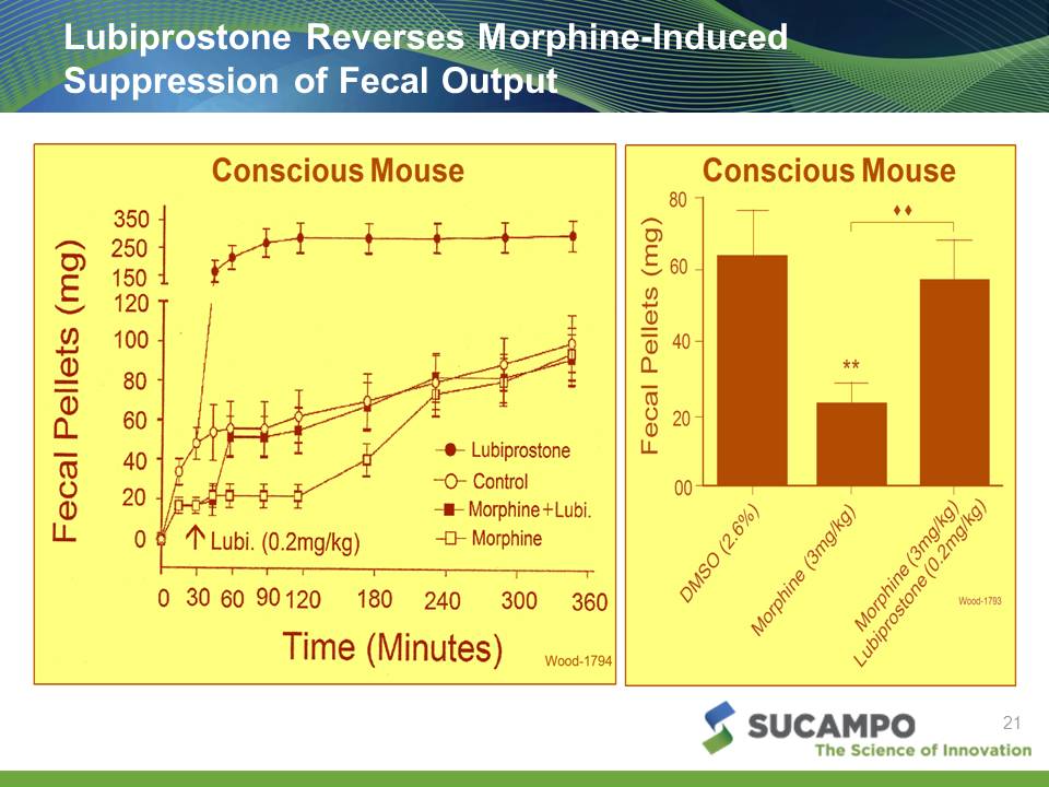 Slide 21