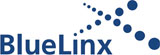 (Bluelink logo)