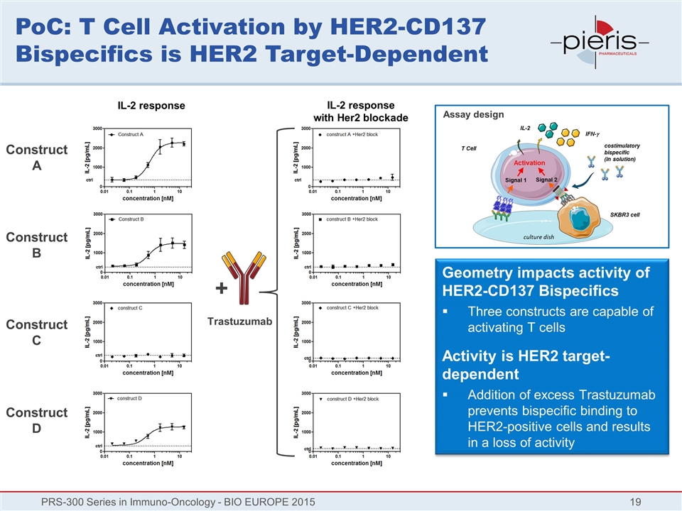 Slide 19