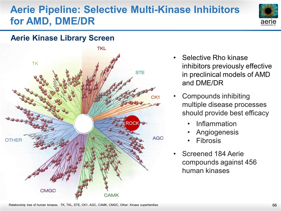 Slide 66