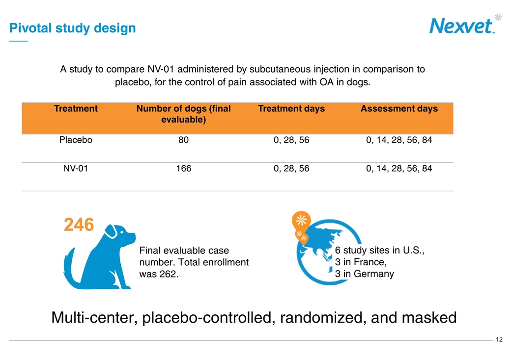 Slide 12