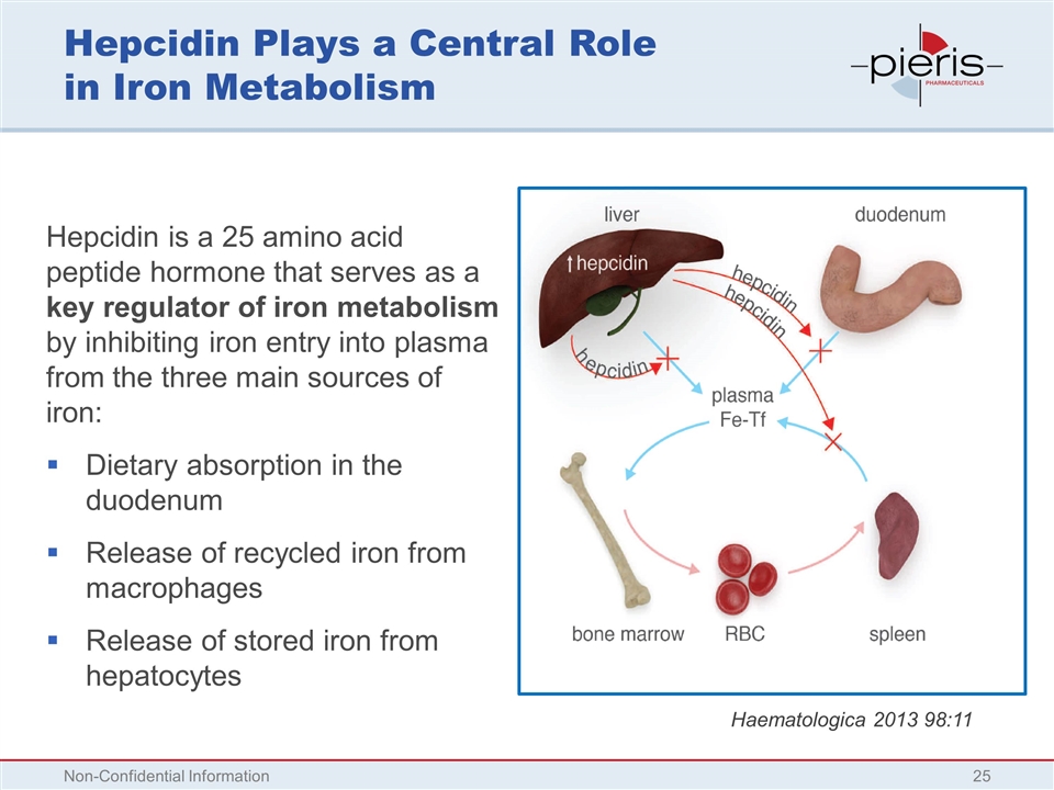 Slide 25