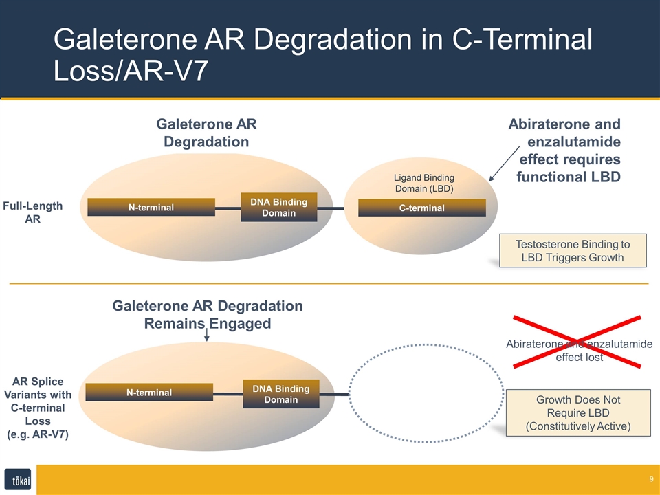 Slide 9