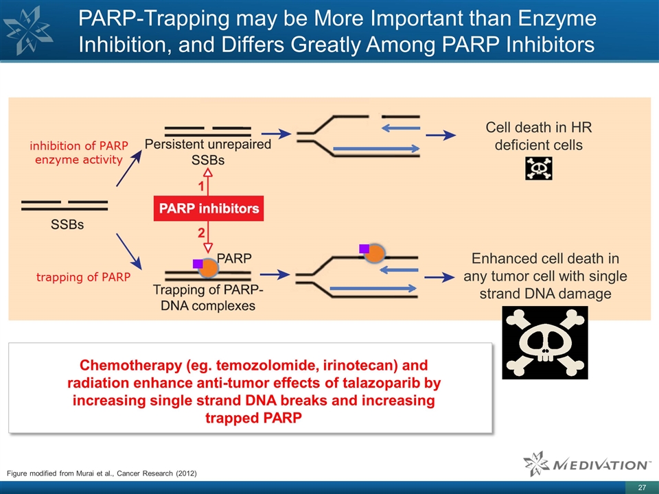 Slide 27