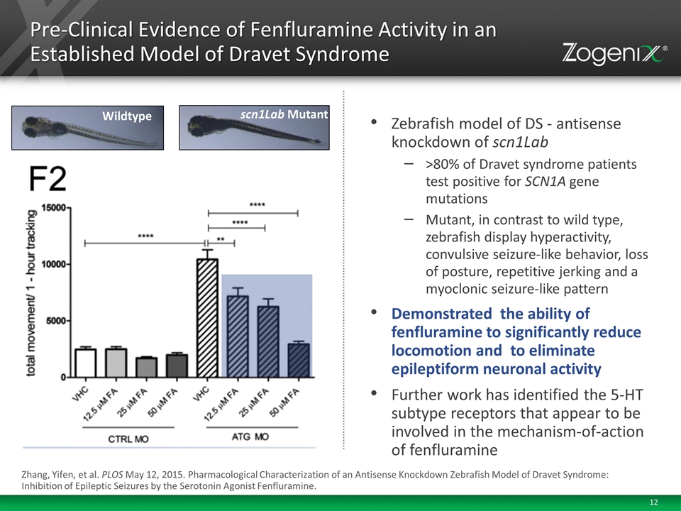 Slide 12