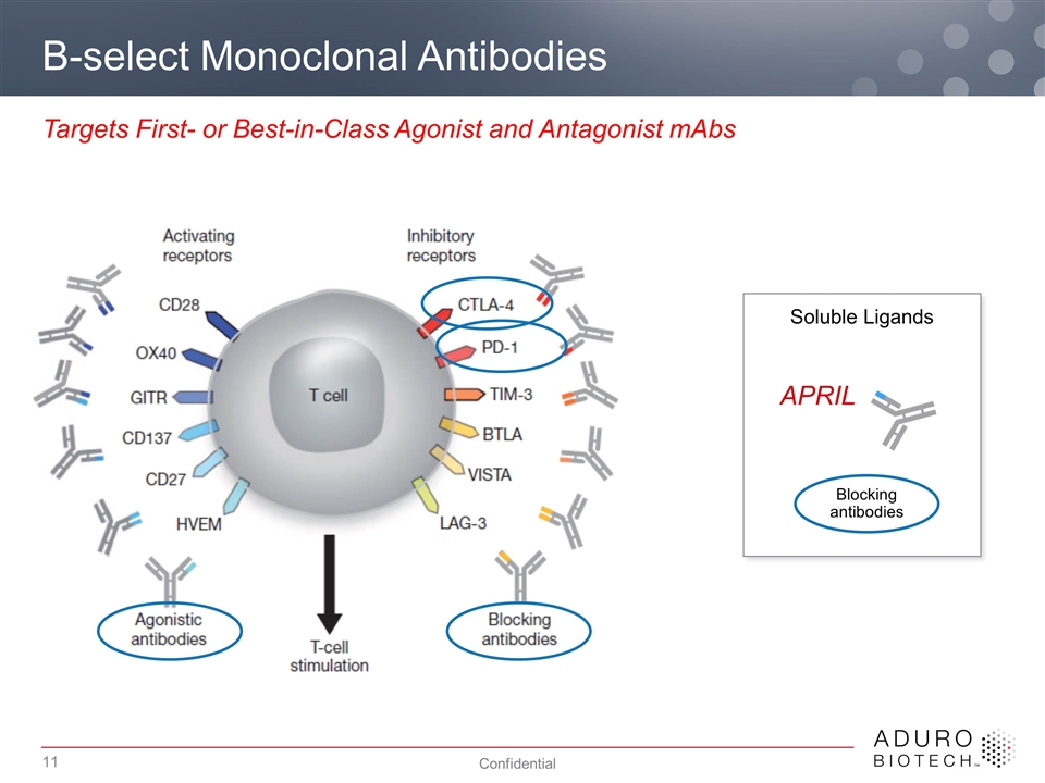 Slide 11