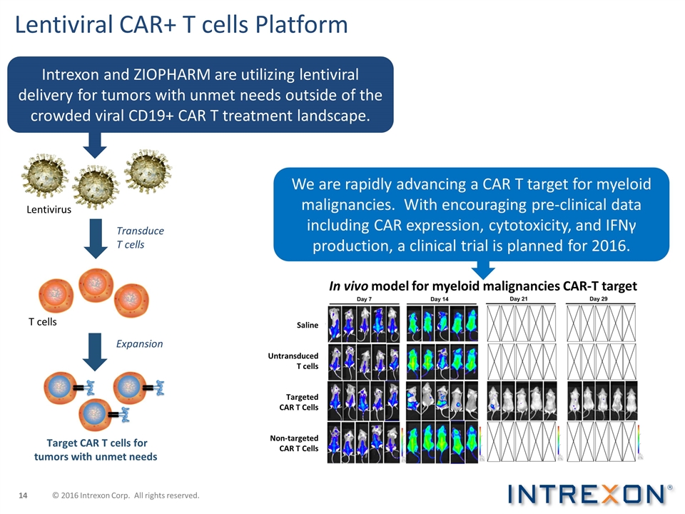 Slide 14