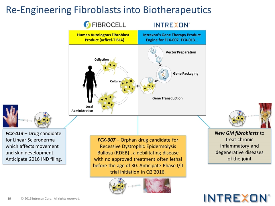 Slide 19