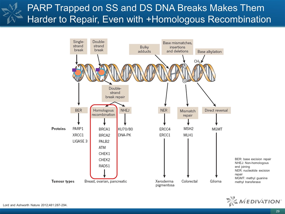 Slide 29