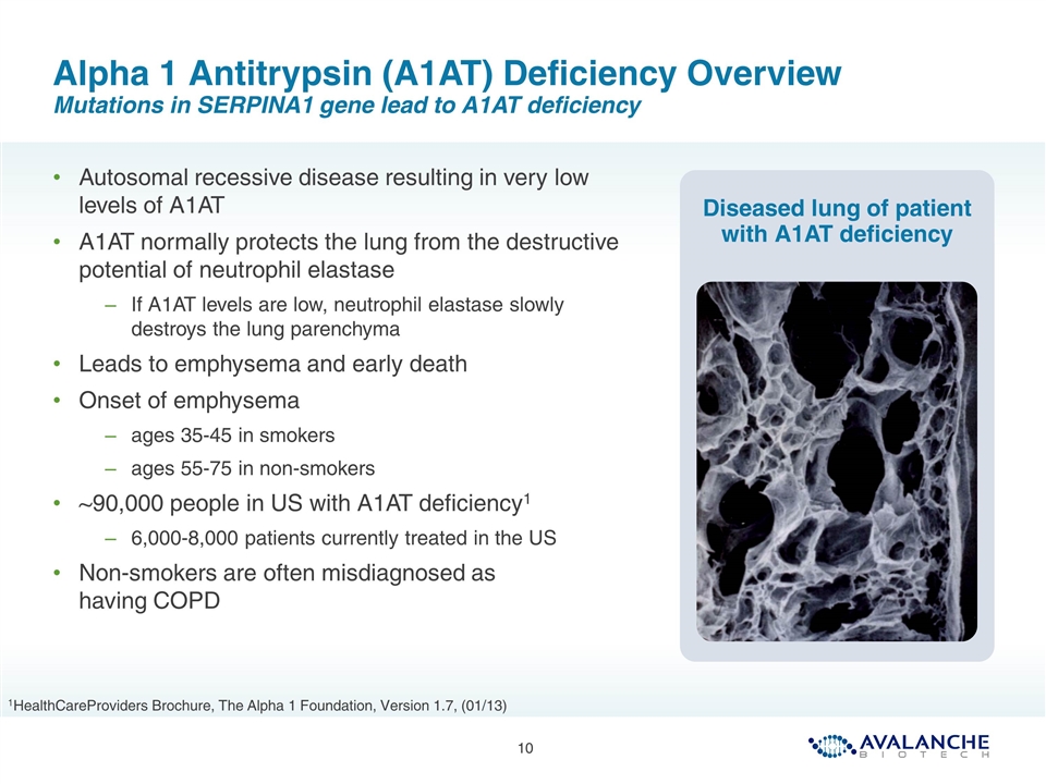 Slide 10