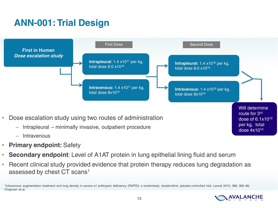 Slide 13