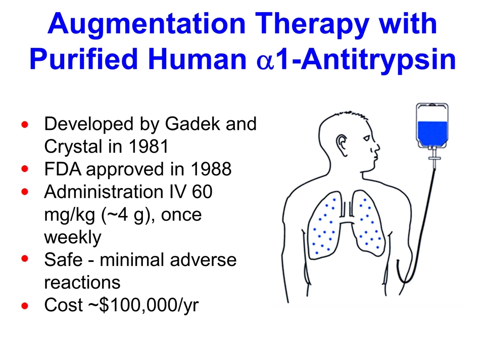 Slide 12