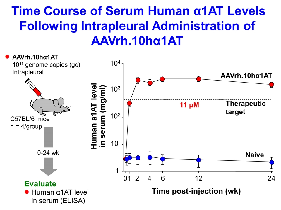 Slide 17