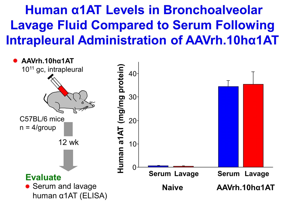 Slide 18