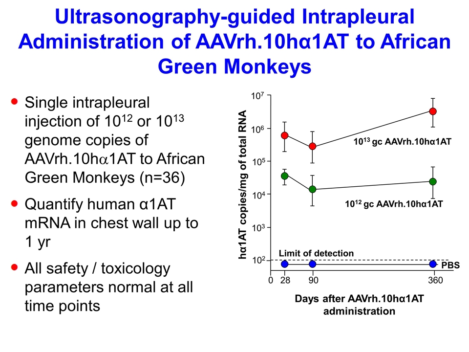 Slide 19