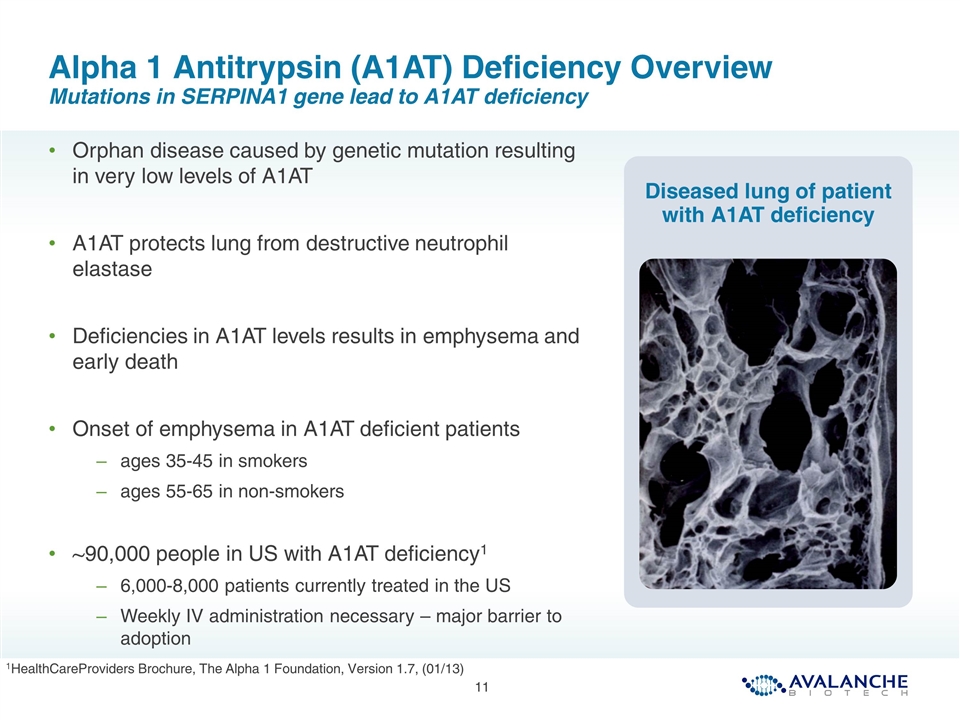 Slide 11