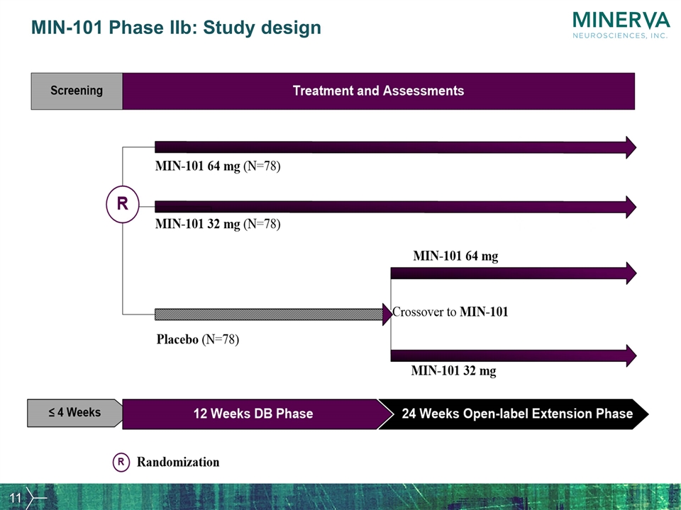 Slide 11