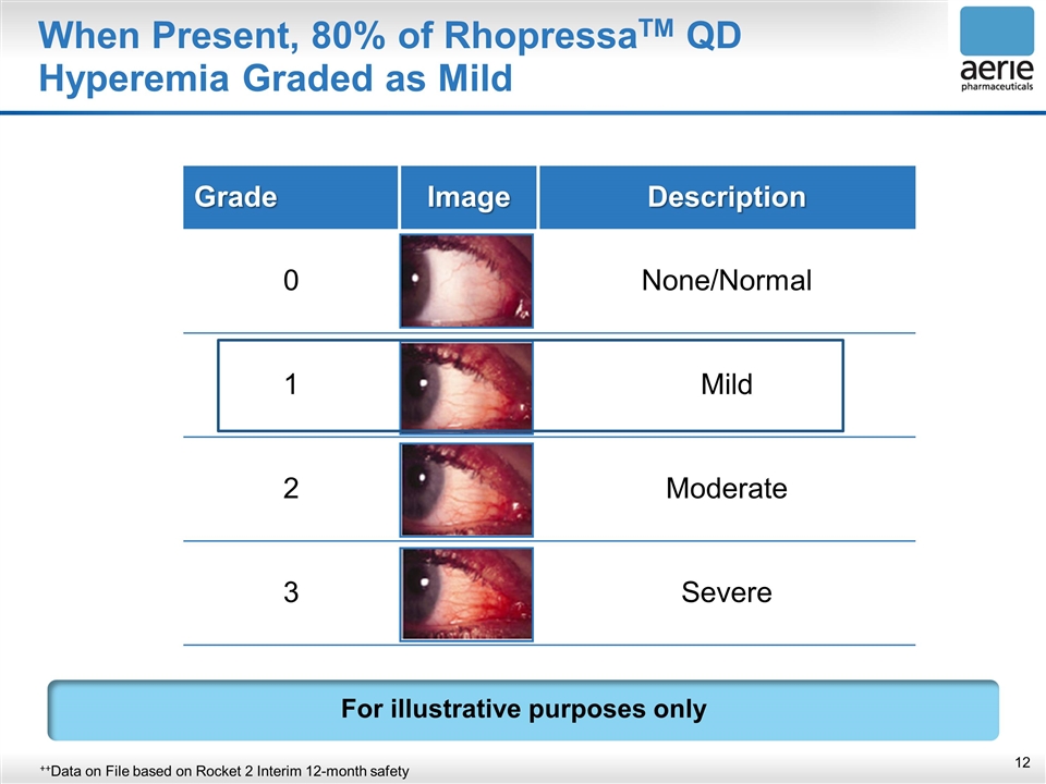 Slide 12