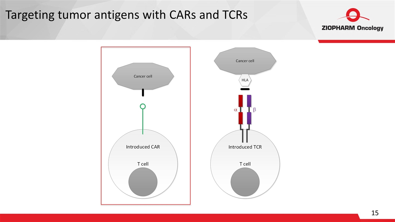 Slide 15