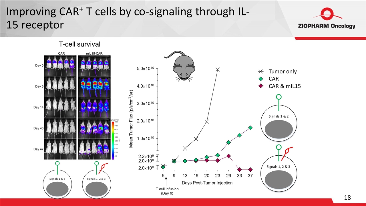 Slide 18