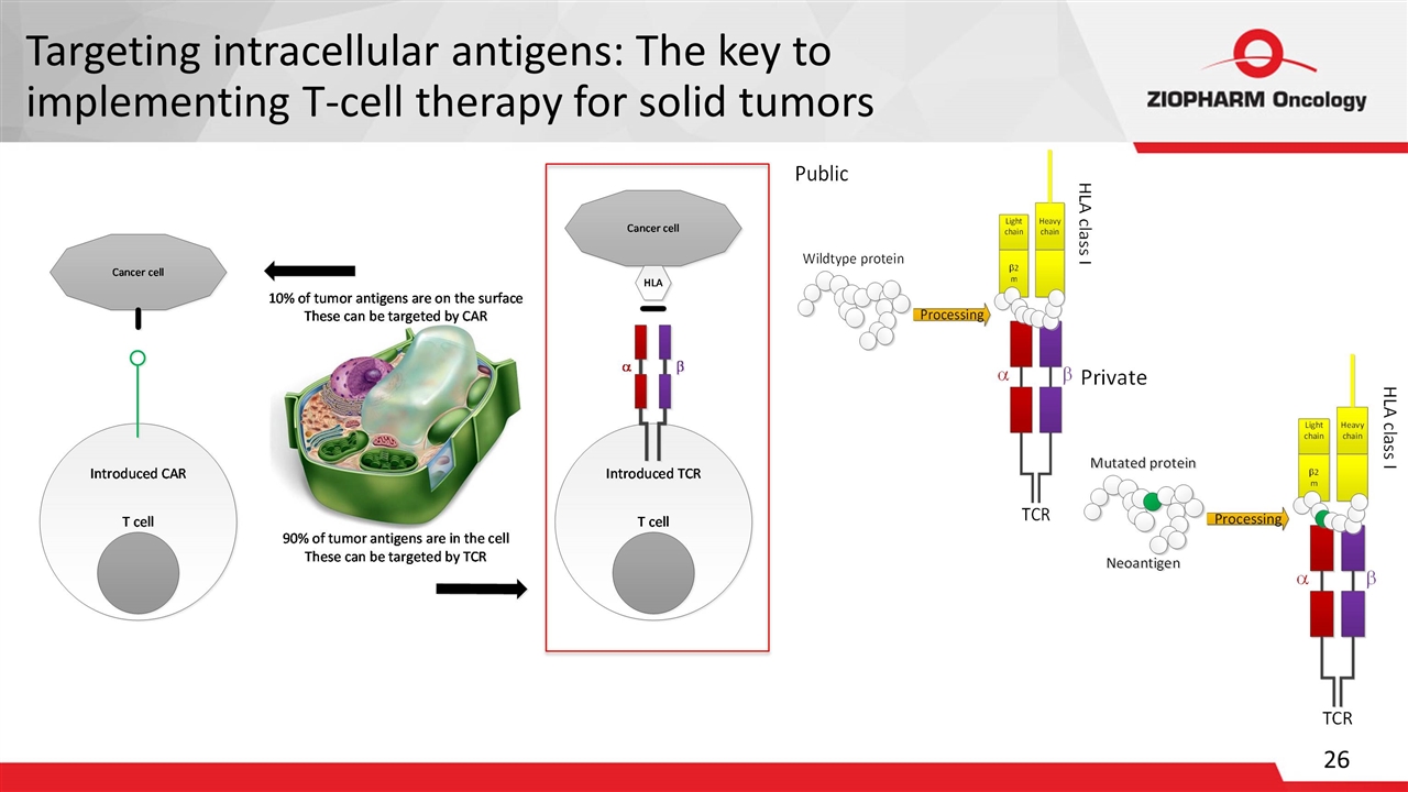 Slide 26